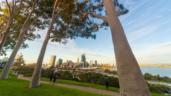 Panoramic view of Perth city from Kings Park